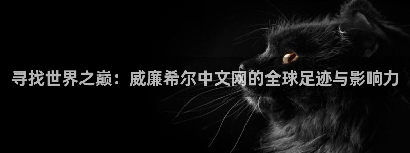 壹号大舞台娱乐app下载安装