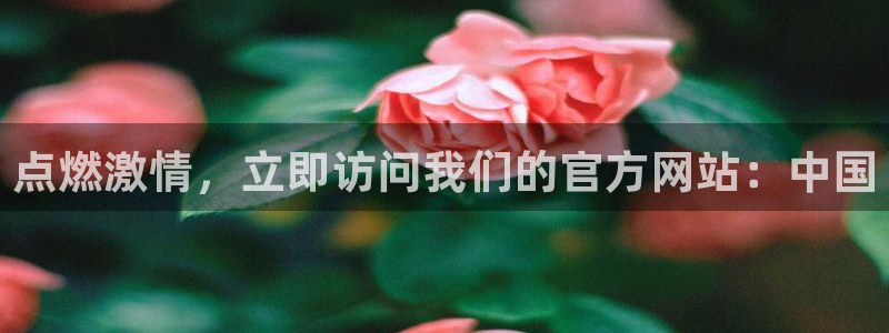壹号电子娱乐app