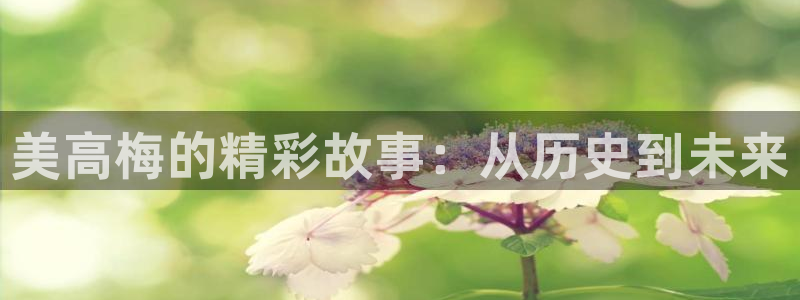 壹号平台下载安装