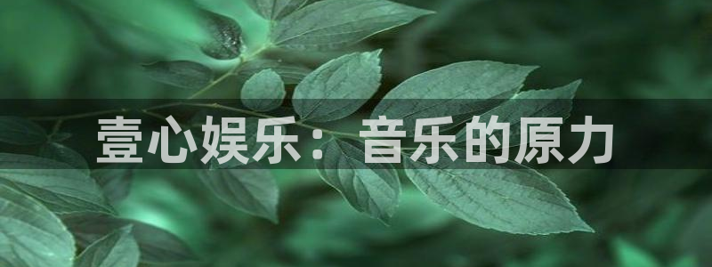 壹号娱乐app最新版怎么下载苹果