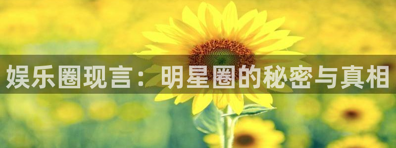 壹号大舞台怎么下载