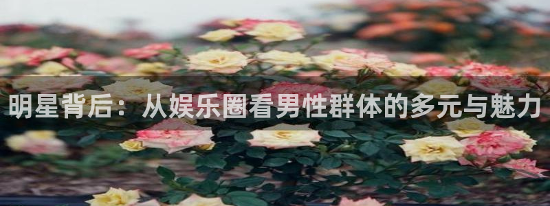 壹号app下载苹果