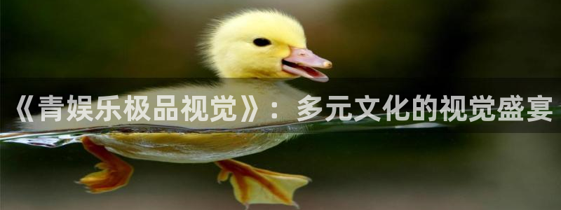 壹号娱乐官方网站下载