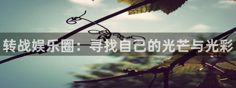 壹号大舞台官网入口