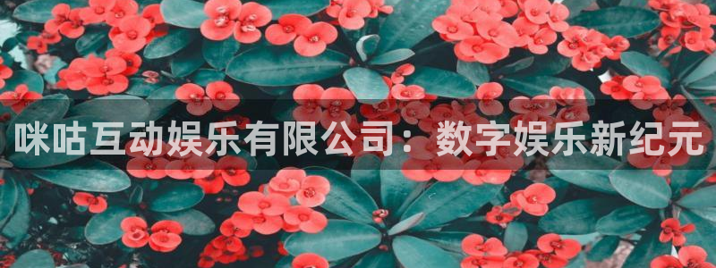 壹号娱乐 - ng大舞台,有梦你就来