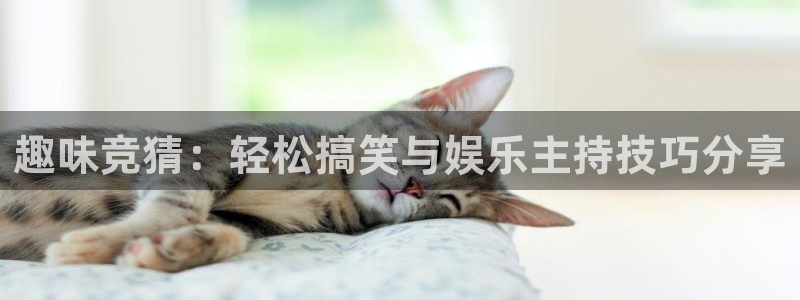 壹号电子娱乐app下载最新版