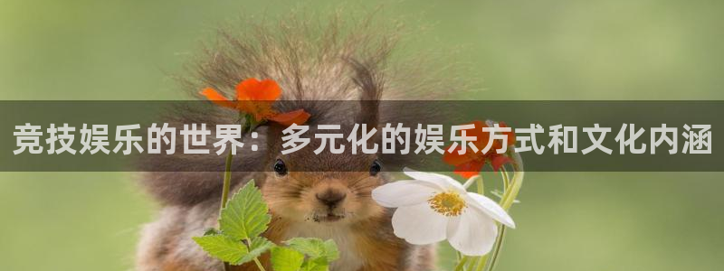壹号娱乐下载：竞技娱乐的世界：多元化的娱乐方式和文化内涵