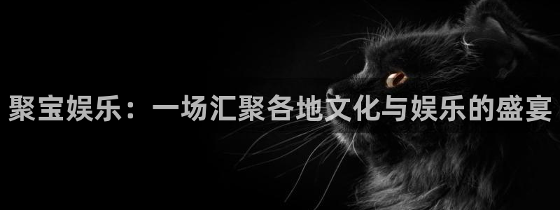 壹号玩家app下载：聚宝娱乐：一场汇聚各地文化与娱乐的盛宴