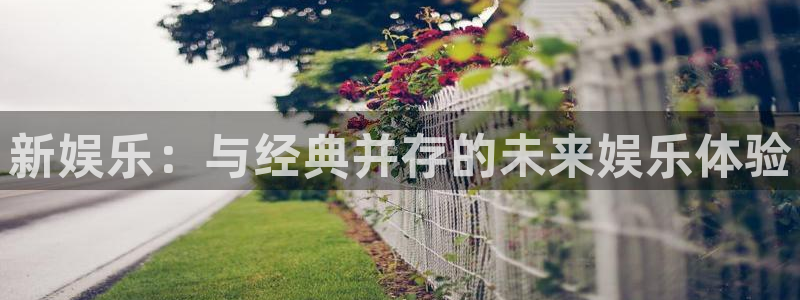 壹号app下载官网娱乐：新娱乐：与经典并存的未来娱乐体验