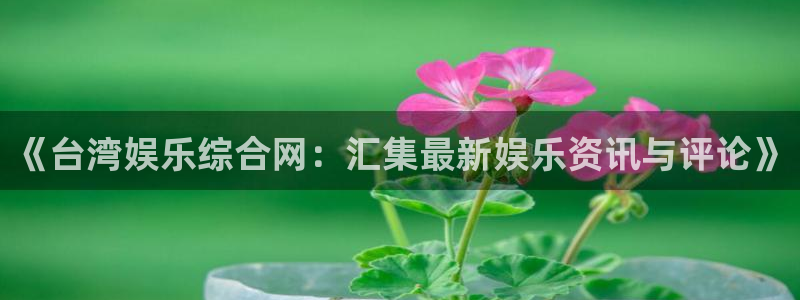 壹号娱乐app入口：《台湾娱乐综合网：汇集最新娱乐资讯与评论》