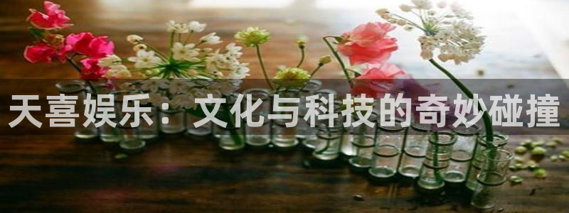 壹号app官网：天喜娱乐：文化与科技的奇妙碰撞