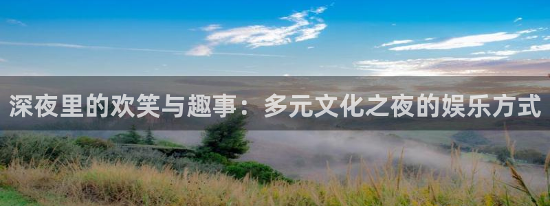 壹号娱乐能退款吗：深夜里的欢笑与趣事：多元文化之夜的娱乐方式