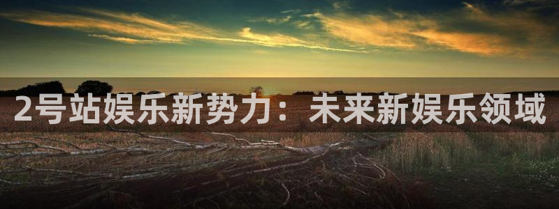 壹号电子娱乐app下载最新版本安装：2号站娱乐新势力：未来新娱乐领域