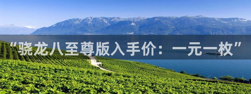 壹号下载官网入口：“骁龙八至尊版入手价：一元一枚”