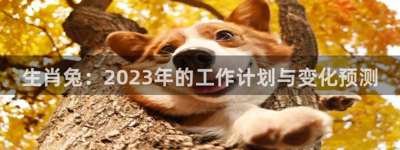 壹号娱乐app下载：生肖兔：2023年的工作计划与变化预测